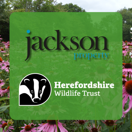 jackson property logo and HWT logo