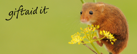 Herefordshire Wildlife Trust Gift Aid Declaration