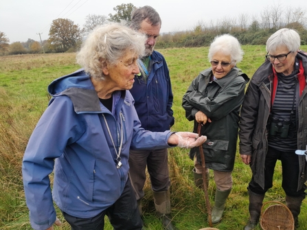 Four people stood in a field, one lady holding out her hand and the others looking on