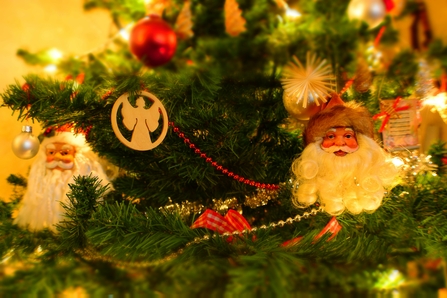 Christmas decorations hanging on a tree