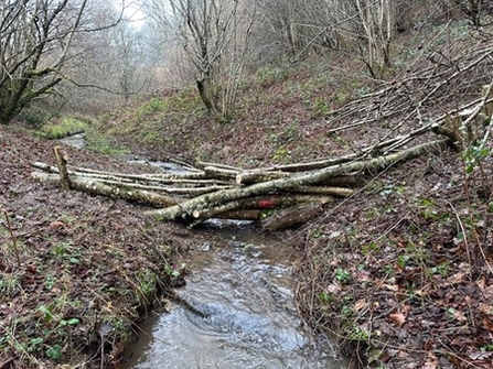 Branches neatly laid across a small stream in a woodland in winter