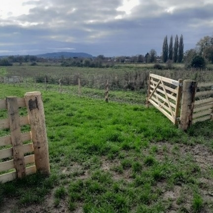 An open, wooden gate in a grassy meadow