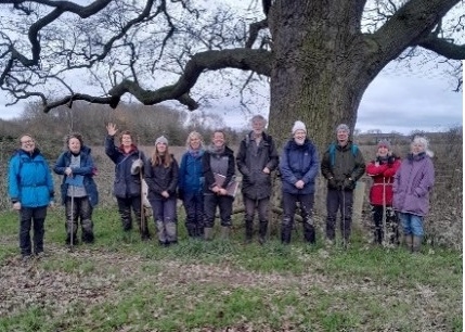 A row of people in outdoor clothing stood outdoors in front of a large tree trunk