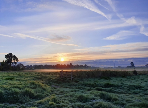Bartonsham Meadows