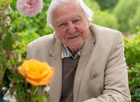 Sir David Attenborough