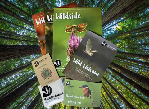 Membership Welcome pack Herefordshire Wildlife Trust